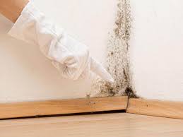 Best Asbestos and Lead Testing During Mold Inspection  in Stepney, CT